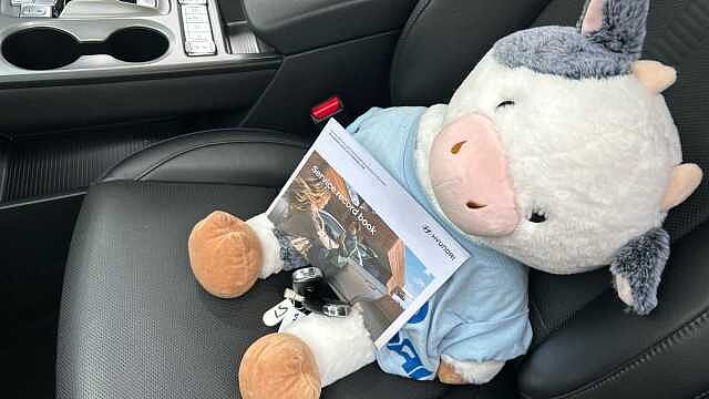 Hyundai KONA 150kW Ultimate 64kWh 5dr Auto Electric Hatchback